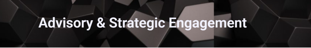 Advisory and Strategic Services - Sophia Bekele